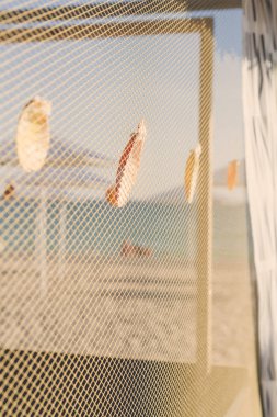 Sahilde deniz kabukları ile dekore edilmiş ahşap sahil evi