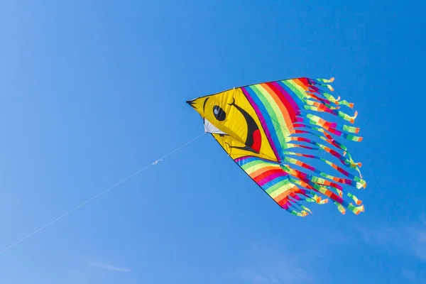 蓝天上的快乐和明亮的风筝 — 图库照片