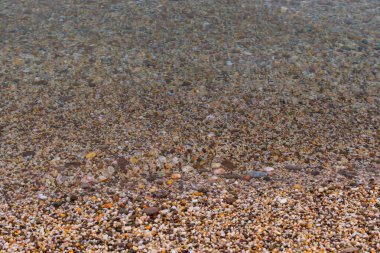 Deniz kıyısı yaz aylarında deniz taşları