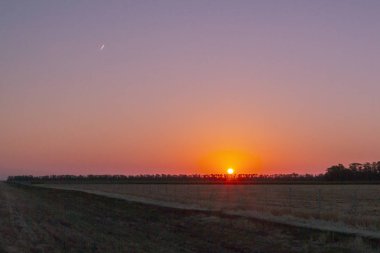 Yaz aylarında ağaçların üstündeki parlak şafak
