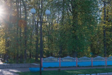 Şafakta güneşin altında açık havada bahar Parkı