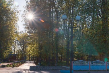 Şafakta güneşin altında açık havada bahar Parkı