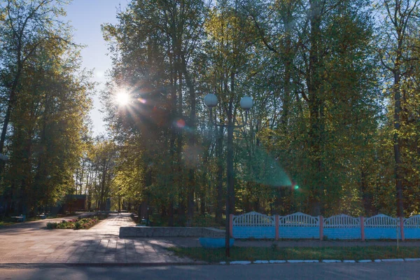 Şafakta güneşin altında açık havada bahar Parkı