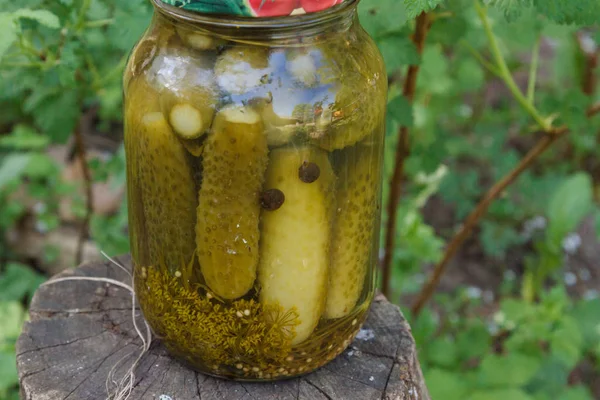 Pickles Rolou Suporte Jarro Vidro Toco Madeira — Fotografia de Stock