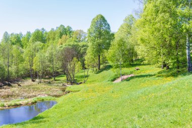 Doğa Göl kenarında bir köyde bahar