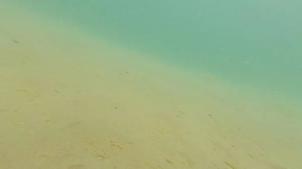 Foto Onderwater Zanderige Bodem Van Zwarte Zee Zomer — Stockfoto