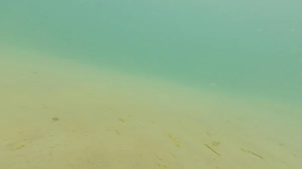 夏に黒海の写真水中の砂底 — ストック写真