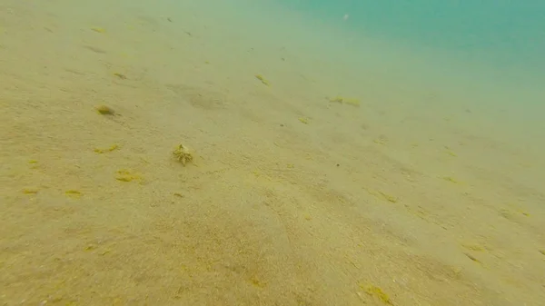 Foto Bajo Agua Fondo Arenoso Del Mar Negro Verano — Foto de Stock