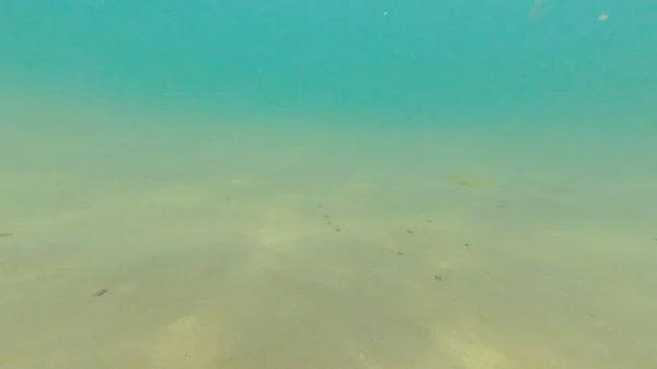 Foto Onderwater Zanderige Bodem Van Zwarte Zee Zomer — Stockfoto