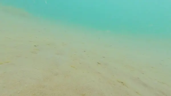 Foto Bajo Agua Fondo Arenoso Del Mar Negro Verano — Foto de Stock