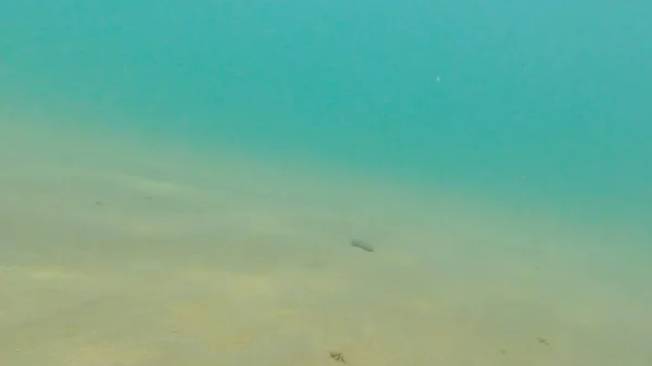 Foto Onderwater Zanderige Bodem Van Zwarte Zee Zomer — Stockfoto