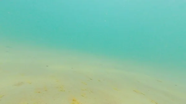 Foto Onderwater Zanderige Bodem Van Zwarte Zee Zomer — Stockfoto