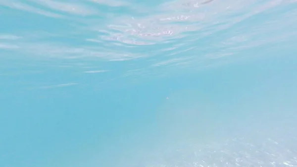 여름에 흑해의 — 스톡 사진