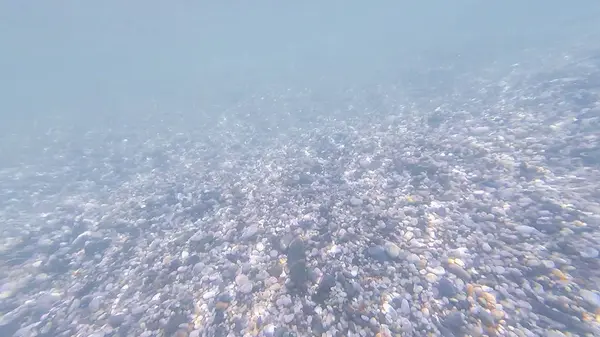 Фото Подводного Дна Черного Моря Камнями Галькой Летом — стоковое фото