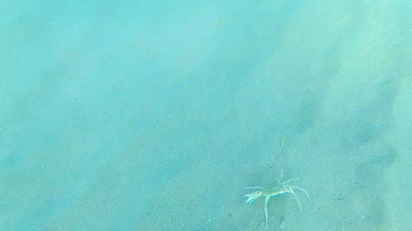 Foto Bajo Agua Fondo Arenoso Del Mar Negro Verano — Foto de Stock