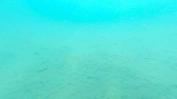 Foto Onderwater Zanderige Bodem Van Zwarte Zee Zomer — Stockfoto