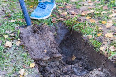 Hendek kazma kürekle sonbaharda adam