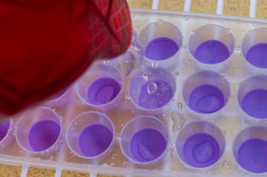 Su filtresinden bir buz kalıp içine dökülür