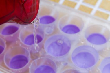 Su filtresinden bir buz kalıp içine dökülür