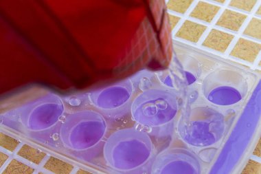 Su filtresinden bir buz kalıp içine dökülür