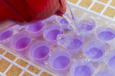 Su filtresinden bir buz kalıp içine dökülür