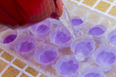 Su filtresinden bir buz kalıp içine dökülür