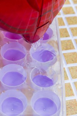 Su filtresinden bir buz kalıp içine dökülür