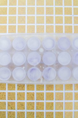 Yuvarlak buz buz tepsi mor renkli