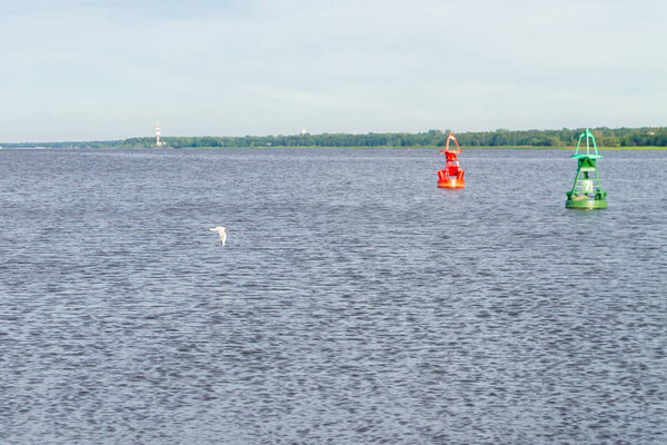 Bird Seagull flying over the water in cloudy weather