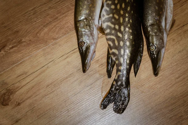 Pique Peixe Recentemente Capturado Deitado Fundo Madeira — Fotografia de Stock