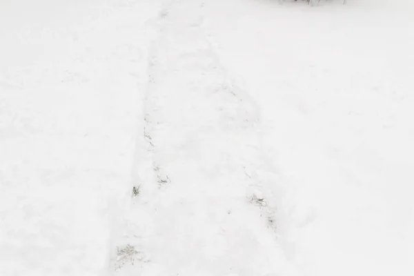 Clean Path Snow Winter City — Stock Photo, Image