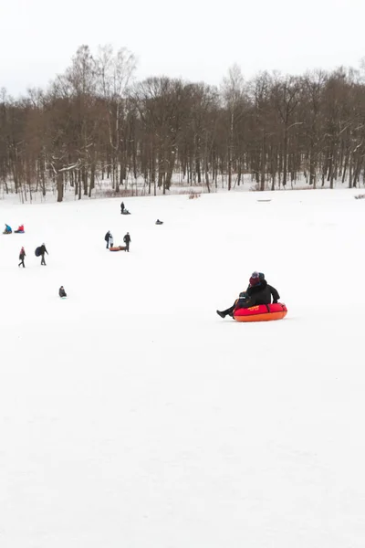 Alexandria Park Peterhof São Petersburgo Rússia Janeiro 2019 Inverno Divertido — Fotografia de Stock