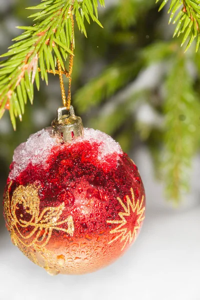 Weihnachtsbaumspielzeug Wiegt Winter Nachts Auf Dem Baum — Stockfoto