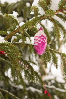 Kışın ağaca asılı Noel oyuncak
