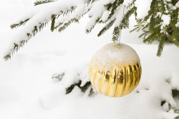 Brinquedo Natal Pendurado Árvore Fora Inverno — Fotografia de Stock