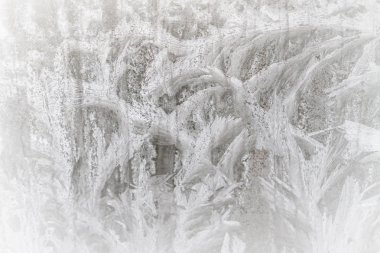 Sabahın erken saatlerinde bir donmuş buz soğuk desenleri kutu