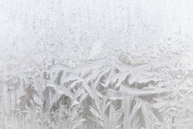 Sabahın erken saatlerinde bir donmuş buz soğuk desenleri kutu