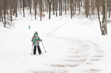 Parkta soğuk havalarda kışın kayak gezisi