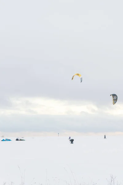 Koporye ロモノーソフ地区レニングラード地域ロシア 2019 フィールドの人々 のグループで冬にスキー カイトボーディング — ストック写真