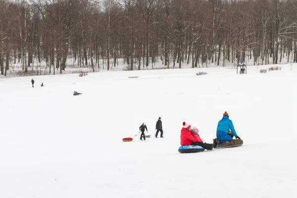 Alexandria Park Peterhof Petersburg Russland Januar 2019 Winterspaß Skifahren Mit — Stockfoto