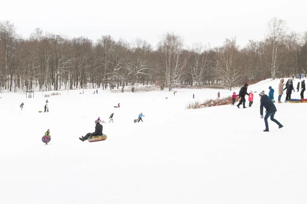 Alexandria Park Peterhof Petersburg Russland Januar 2019 Winterspaß Skifahren Mit — Stockfoto