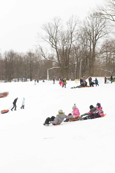 Alexandria Park Peterhof Petersburg Russland Januar 2019 Winterspaß Skifahren Mit — Stockfoto