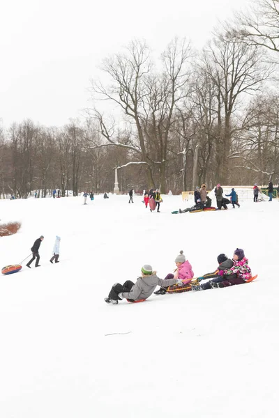 Alexandria Park Peterhof São Petersburgo Rússia Janeiro 2019 Inverno Divertido — Fotografia de Stock