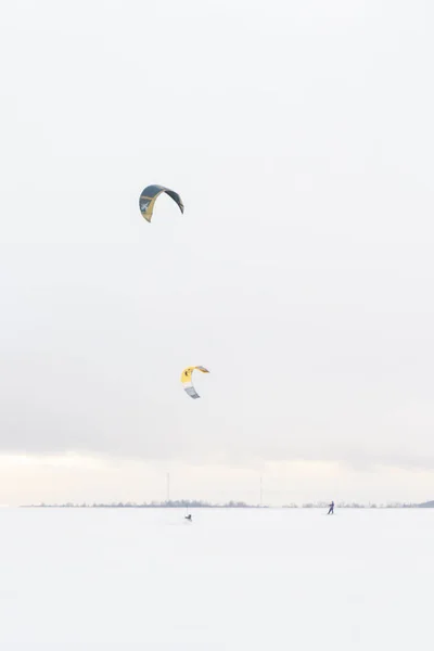 Koporye Lomonosov Dzielnicy Leningrad Region Rosji Stycznia 2019 Kiteboarding Nartach — Zdjęcie stockowe