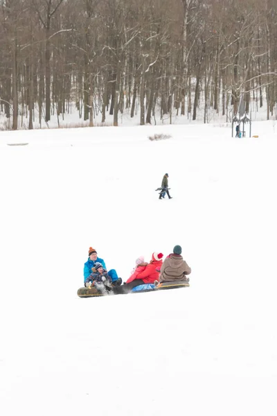 Alexandria Park Peterhof São Petersburgo Rússia Janeiro 2019 Inverno Divertido — Fotografia de Stock