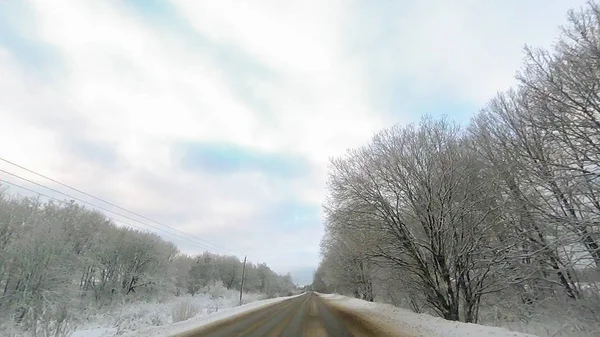 白い雪の木と林に沿って 冬の田舎道 — ストック写真