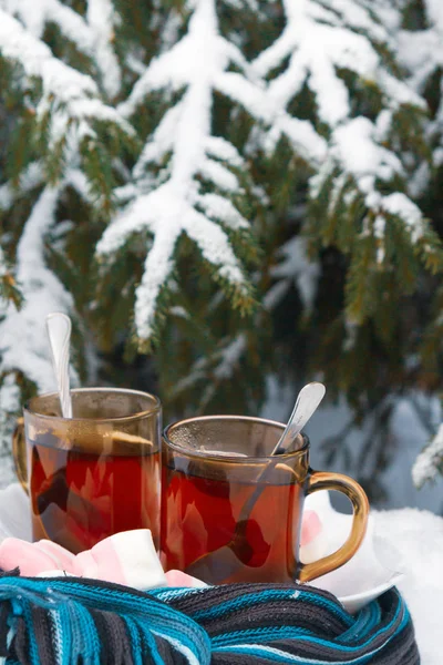 Two Cups Tea Marshmallows Tree Wrapped Blue Scarf Snow Winter — Stock Photo, Image