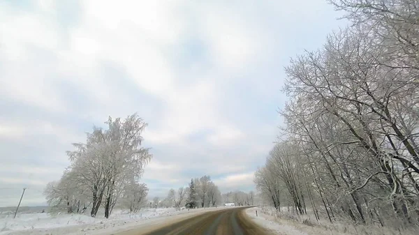 Landsväg Vinter Längs Skogen Med Vit Snö Träd — Stockfoto