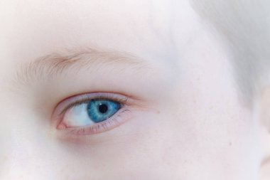 Bebek mavi bir çocuğun gözleri düşünceli güzel
