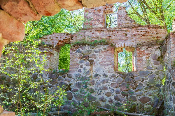 Förstört Gamla Byggnad Tegel Och Sten Skogen — Stockfoto